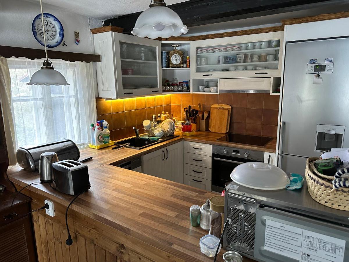 Villa Chata V Srdci Krkonos à Kořenov Extérieur photo